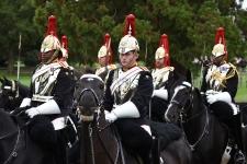 WINDSOR 136991
