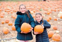 Cookham pick your own pumpkin farm popular this half term