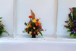 Visitors can vote for favourites at Twyford and Ruscombe's Autumn Show