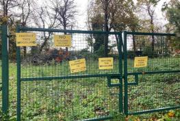 Woodland subject to &lsquo;chainsaw massacre&rsquo; can become new homes after inspector u-turn