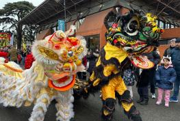 Lion dance parade to take place in Maidenhead and Windsor for Lunar New Year Lion dance parade to take place in Maidenhead and Windsor for Lunar New Year