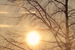 2025: Maidenhead records sunniest year since the 1950s