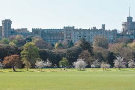 RBWM rejects cross-party letter calling for more scrutiny around Home Park decision