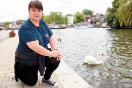 Suspected avian flu: 'Horrendous’ number of dead and sick swans found in RBWM Suspected avian flu: 'Horrendous’ number of dead and sick swans found in RBWM