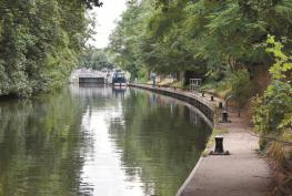 Royal Borough nature group welcomes Government sewage row U-turn