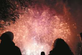 Fire service and animal experts give tips for keeping safe in firework season