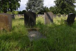 Advertiser review of the year: June