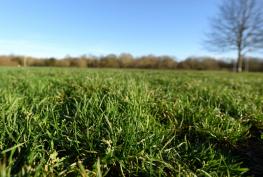 Maidenhead United invite public to help 'shape'&nbsp;new stadium proposals for Braywick Park