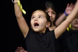 In picutres: Hundreds of pupils take part in Maidenhead Primary Dance Festival In picutres: Hundreds of pupils take part in Maidenhead Primary Dance Festival