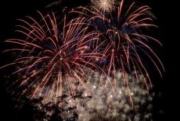 Pleas to consider army veterans and children with autism this firework season Pleas to consider army veterans and children with autism this firework season