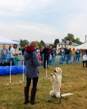 Cookham Dean Village Fete boasts 'the best line-up we’ve had' in 45 years