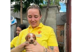Dogs in Cambodia bite back against rabies with help of Windsor canine carer