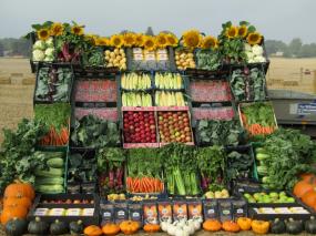 Vintage tractors and produce auction at 172nd Ploughing Match and Country Show