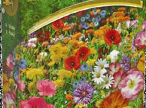 Free wild flower seeds worth £2.99