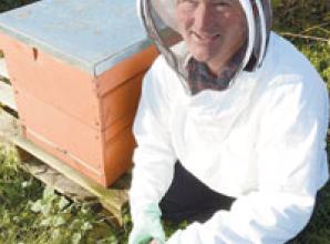 Bees and Honey: Aromatherapy for bees
