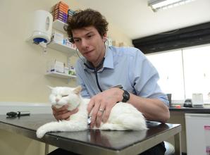 Kelperland Veterinary Centre blog: Stories from surgery and fireworks advice