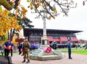 Remembrance Day roundup