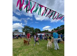 Barbecue and traditional games promised at Waltham St Lawrence and Shurlock Row Village Fete