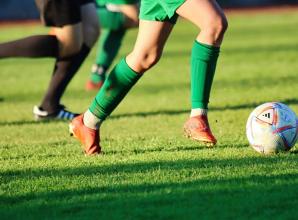 New FA guide hoped to help crack down on alienating language