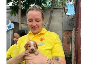 Dogs in Cambodia bite back against rabies with help of Windsor canine carer