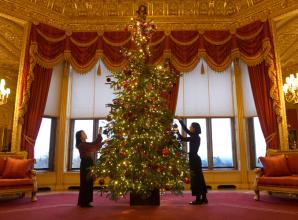 Christmas trees at Windsor Castle