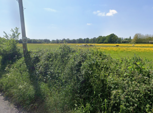 Hurst 99 homes plan thrown out for 'cumulative harms' to village, inspector rules