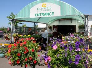 Braywick Heath Nurseries set to close unless partner can be found