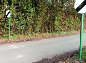 Campaigners ‘jubilant’ as problematic road speed limits to go from 60mph to 20-30