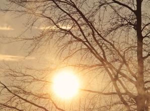 2025: Maidenhead records sunniest year since the 1950s