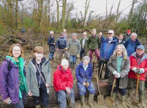 Caversham volunteers plant new trees to regenerate wood