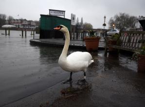 Your letters: No scientific basis for town green mast fears