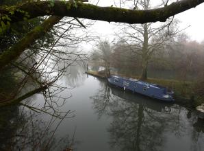 Call for better regulation to fix "failure" of safeguarding River Thames from pollution