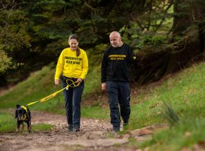 Dog owner hosts first-ever walk for anxious dogs at Cliveden Estate