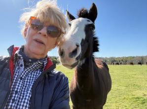 Horse guide bridges gap between nutrition and behaviour