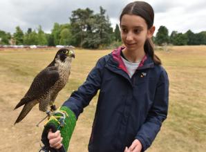 Bugs, birds and 'beasts' visit Ascot for annual nature day
