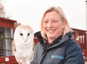 Evicted Feathers and Fur Falconry Centre finds new home