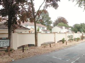 Council allows five Bray homes against officer recommendations despite 'urbanisation' fears