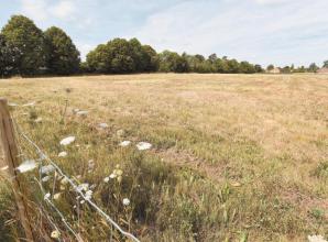 Viewpoint: Objections to Bray Lake proposals
