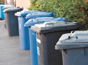 Eco Matters: New year, new mini bin