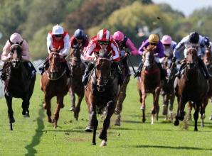 Hilitany hits top gear again at Windsor Races