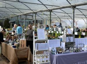 Sales down but festive market seen as success