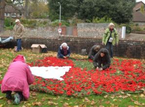 Villagers knit 1,750 poppies for remembrance art installation