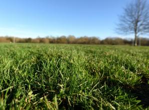 Maidenhead United invite public to help 'shape'&nbsp;new stadium proposals for Braywick Park