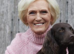 Celebrities add sparkle to traditional village show