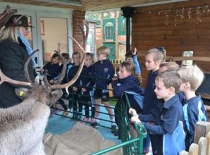 Pupils learn all about reindeer