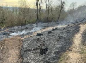 Firefighters battle for three hours to stop wood blaze