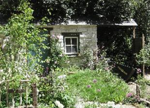 Chelsea Flower Show 2011