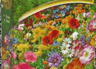 Free wild flower seeds worth £2.99