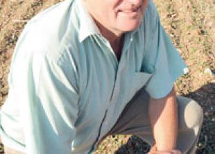 Geoffrey Copas' plans for 23 homes in Whyteladyes Lane