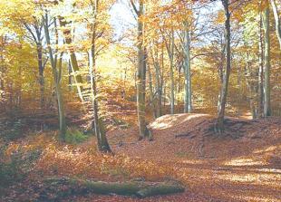 Children urged to get outdoors this Autumn 